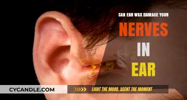 Exploring the Impact of Earwax on Your Auditory Nerves