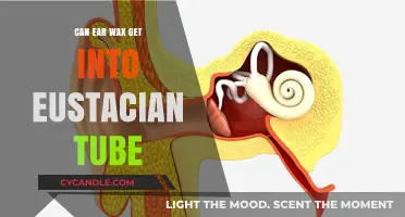 Can Ear Wax Block the Eustachian Tube? Facts and Prevention Tips