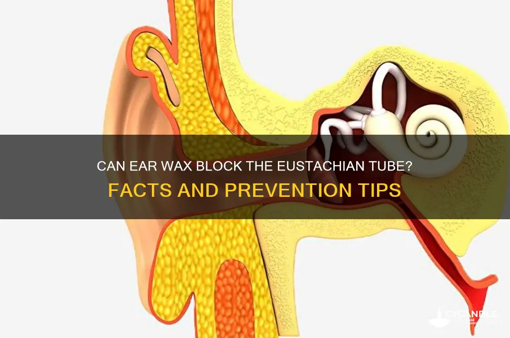 can ear wax get into eustacian tube