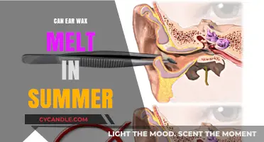 Does Summer Heat Cause Ear Wax to Melt? Facts Revealed