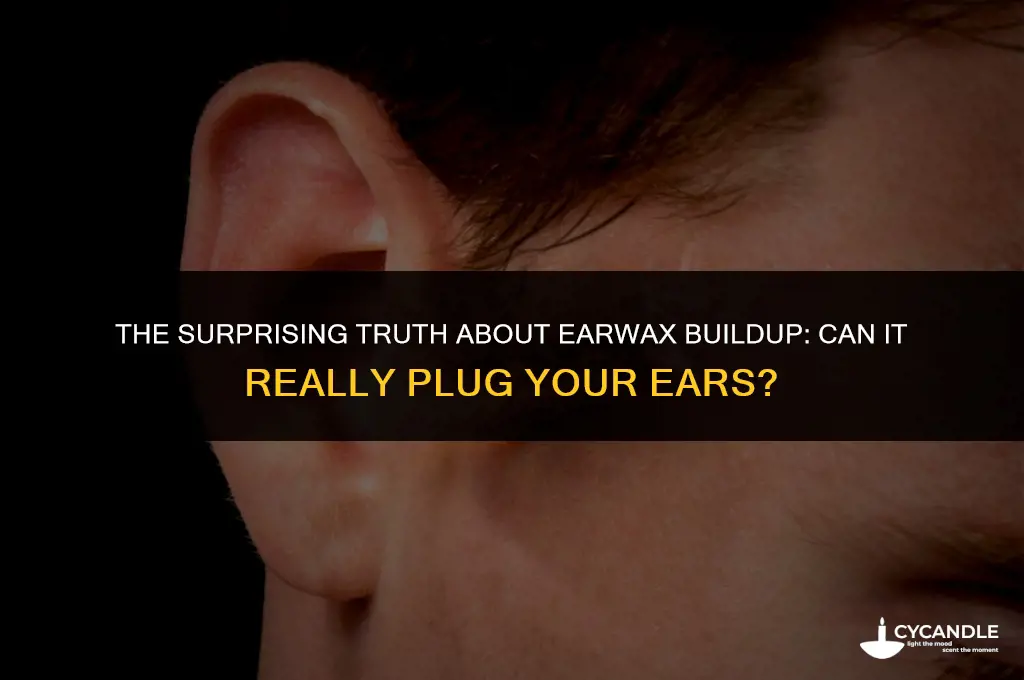 can ear wax plug your ear