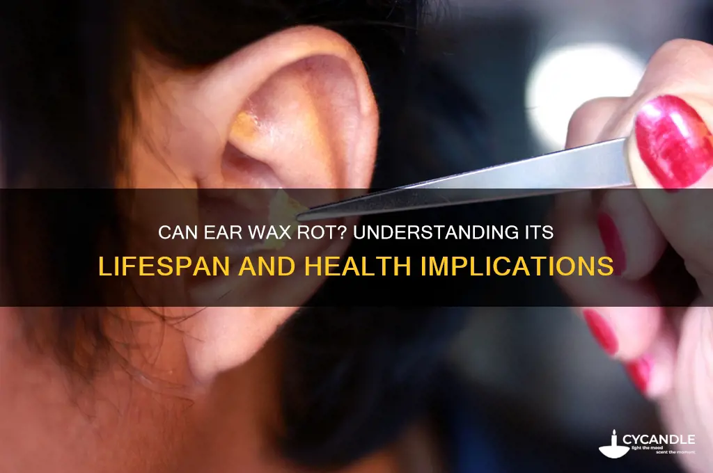 can ear wax rot