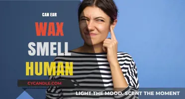 Can Ear Wax Smell Human? Uncovering the Truth Behind the Myth