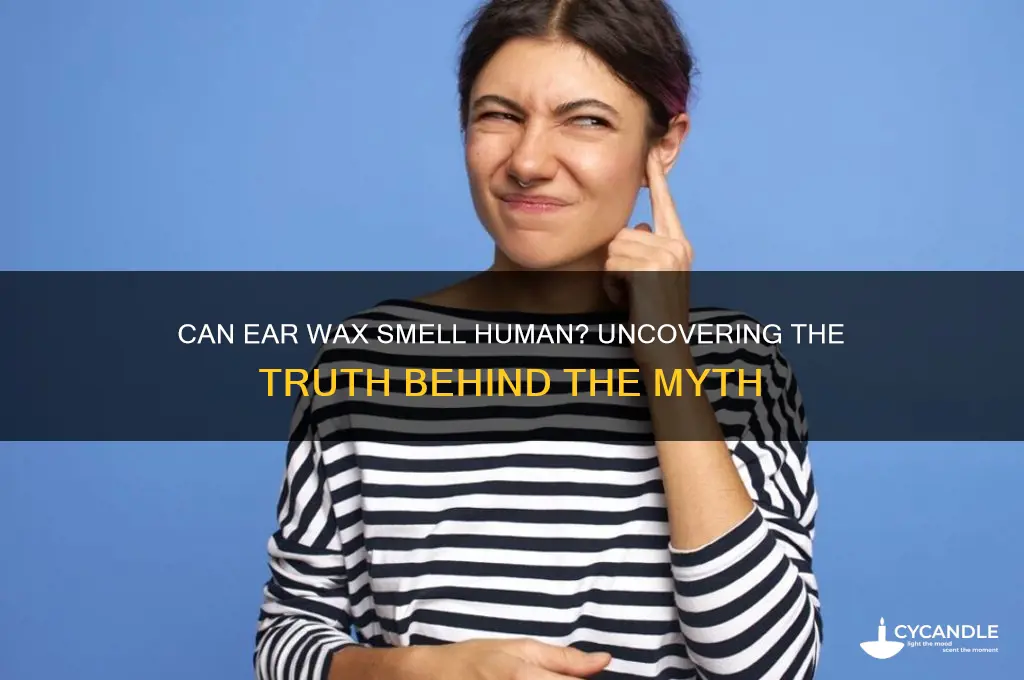 can ear wax smell human