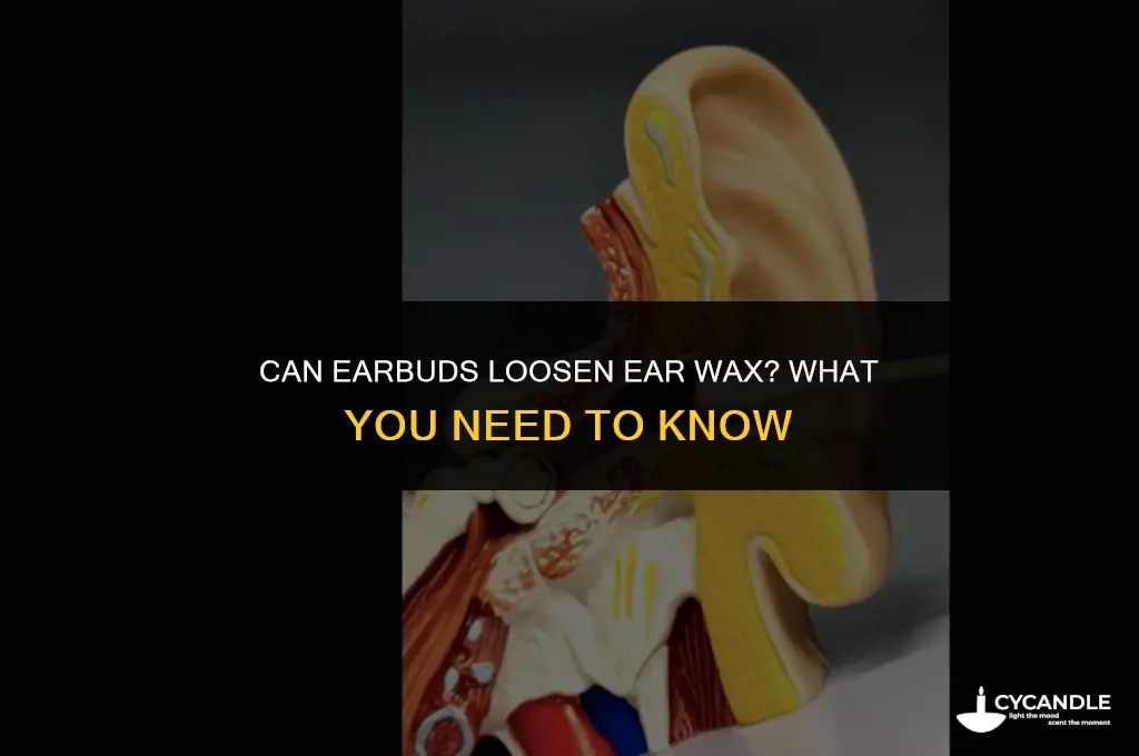 can earbuds loosen ear wax