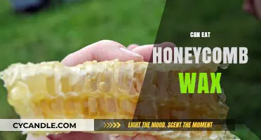 Nature's Sweetness: Can You Really Eat Honeycomb Wax?