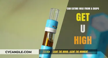 Exploring the Effects of Consuming Wax from Disposable Vapes