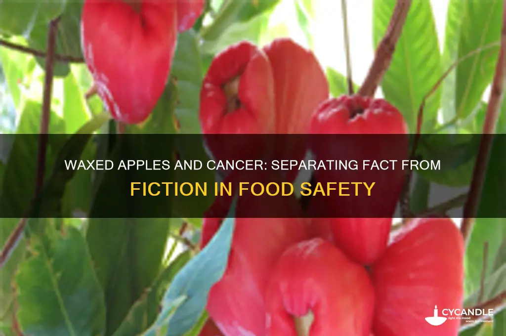 can eating waxed apples cause cancer
