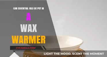 Unlocking Aromatherapy: Essential Oils and Wax Warmers Explained