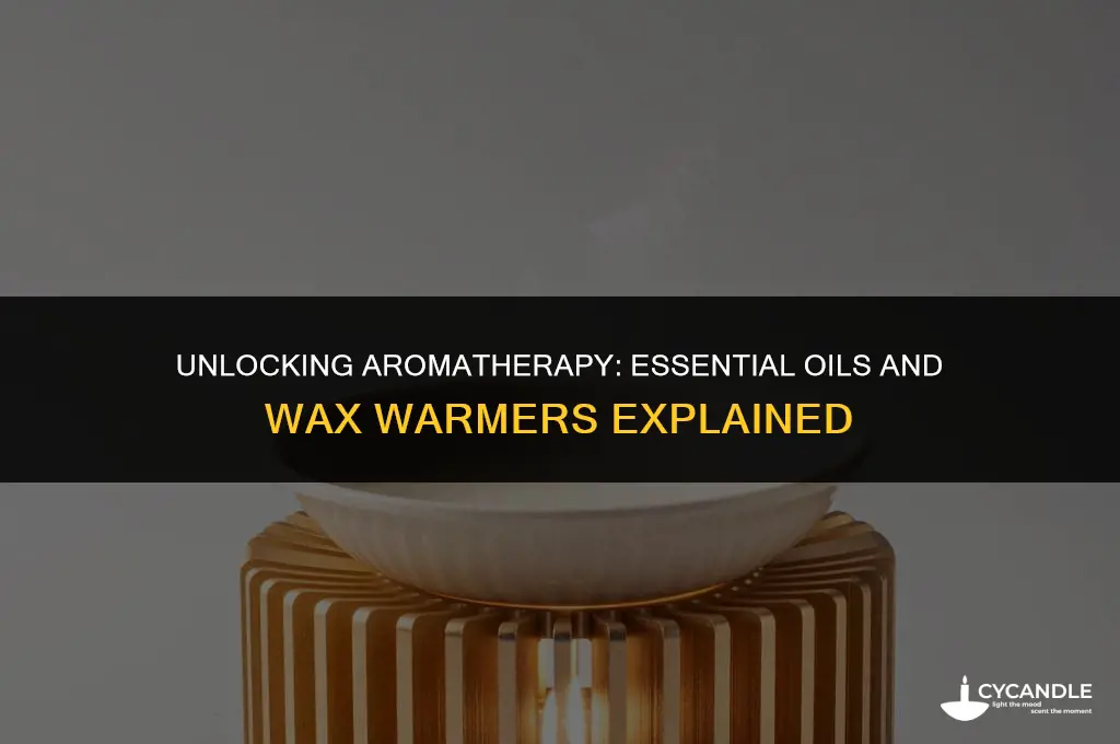 can essential oils be put in a wax warmer