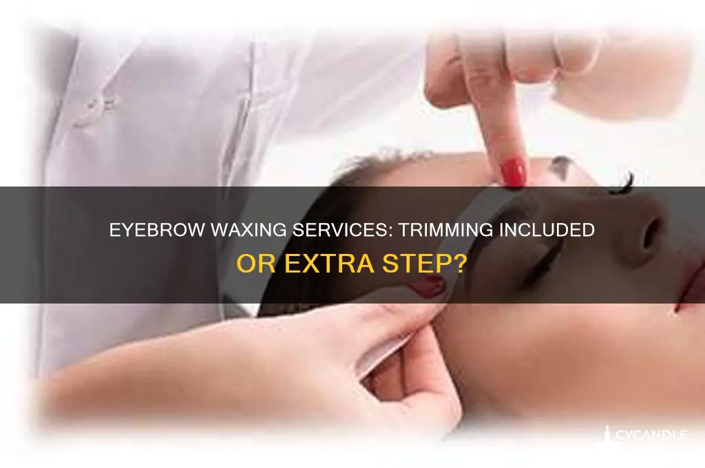 can eyebrow wax places trim eyebrows