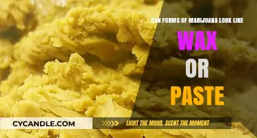 Exploring Marijuana Concentrates: Wax, Paste, and Their Unique Appearances