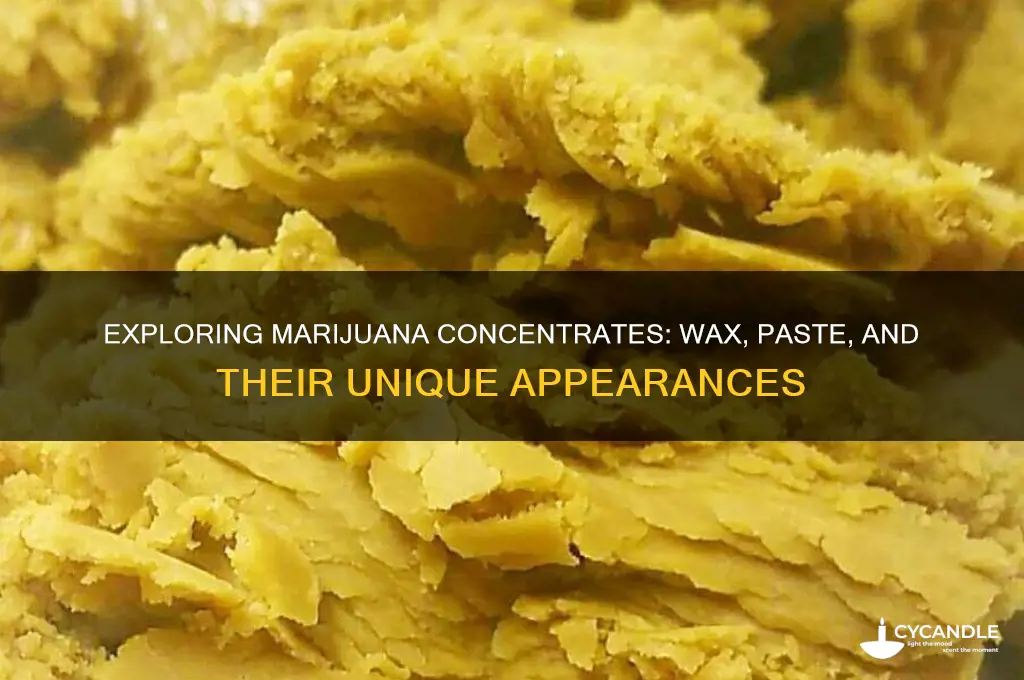 can forms of marijuana look like wax or paste