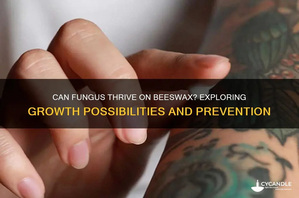 can fungus grow on beeswax