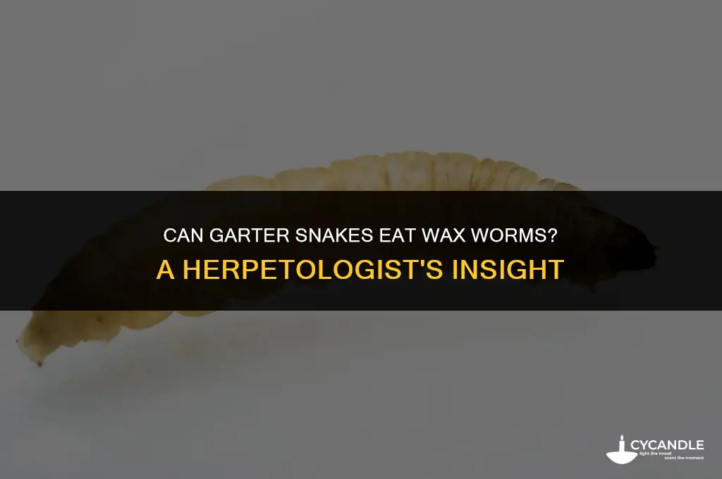 can garter snakes eat wax worms