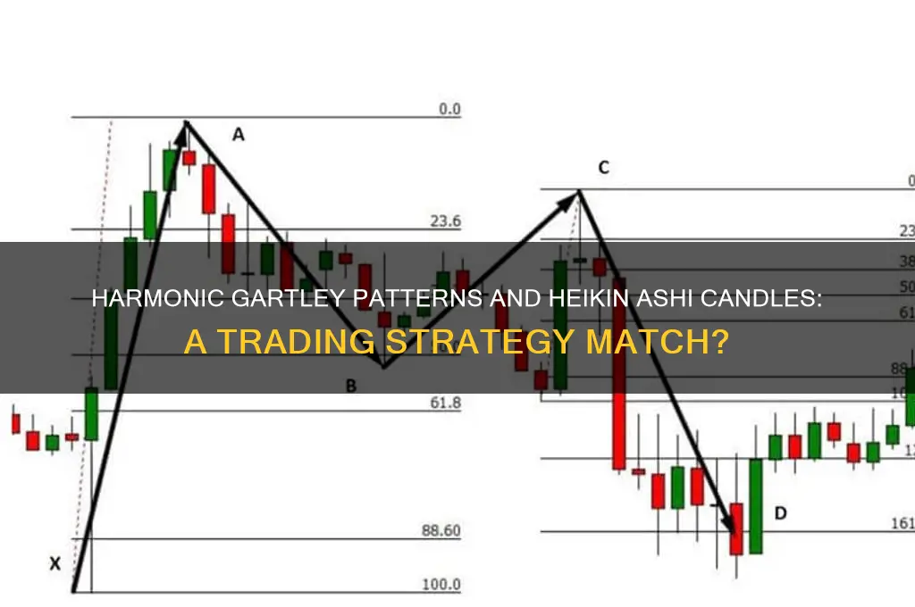 can gartley harmonic patterns be used with heika nashi candles