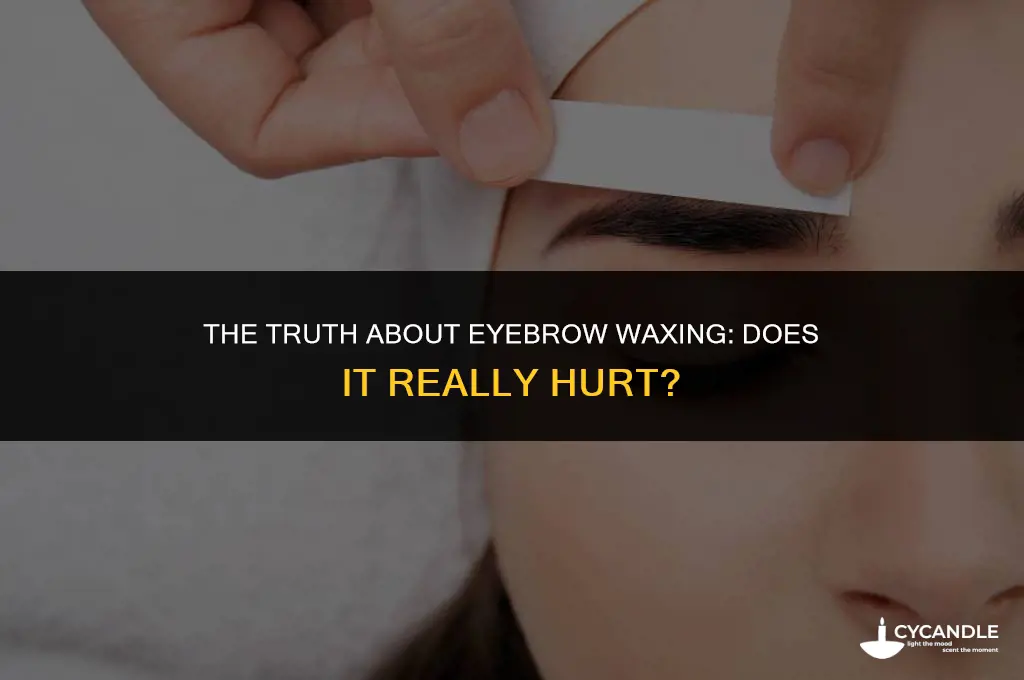 can getting your eyebrows waxed hurt