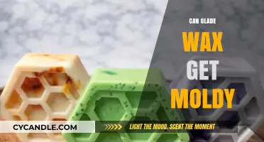 The Truth About Glade Wax: Can It Really Get Moldy?