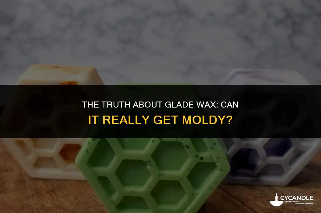 can glade wax get moldy