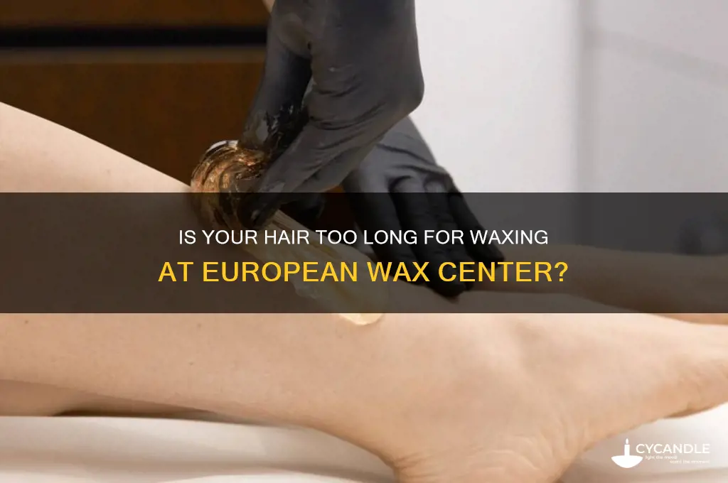 can hair be too long to wax european wax center