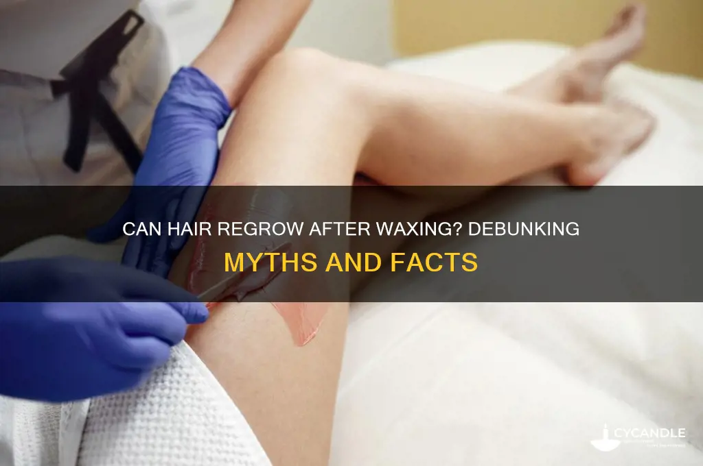 can hair grow back after waxing