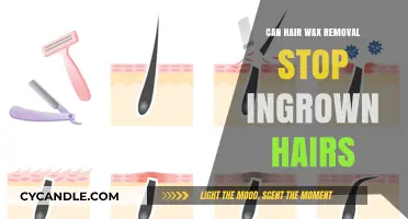 Smooth Skin Ahead: Can Hair Wax Removal Prevent Ingrown Hairs?