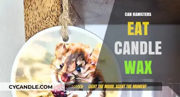 Can Hamsters Safely Consume Candle Wax? Risks and Facts Revealed