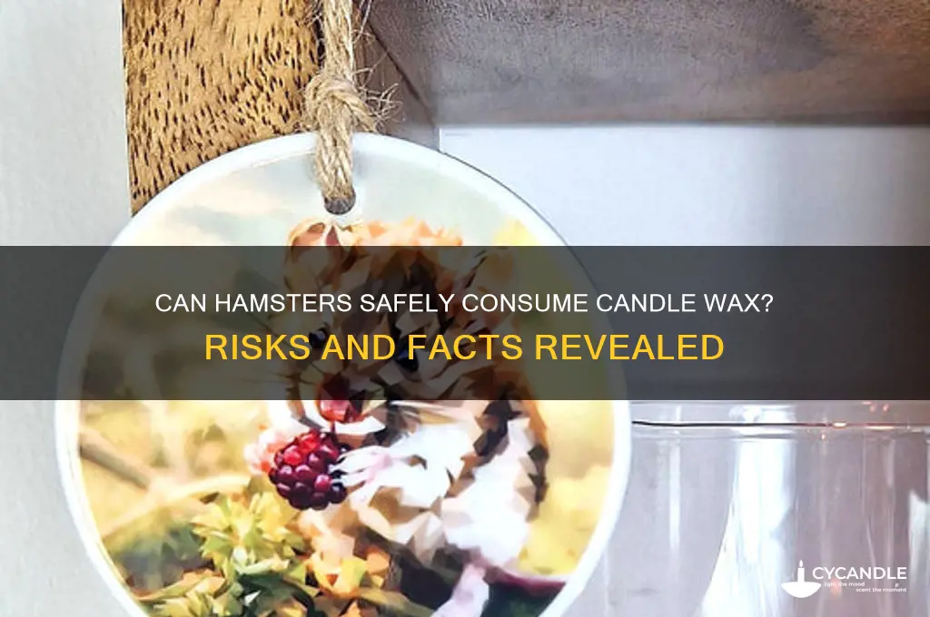 can hamsters eat candle wax