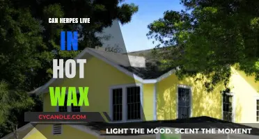 Can Herpes Survive in Hot Wax? Uncovering the Truth and Risks