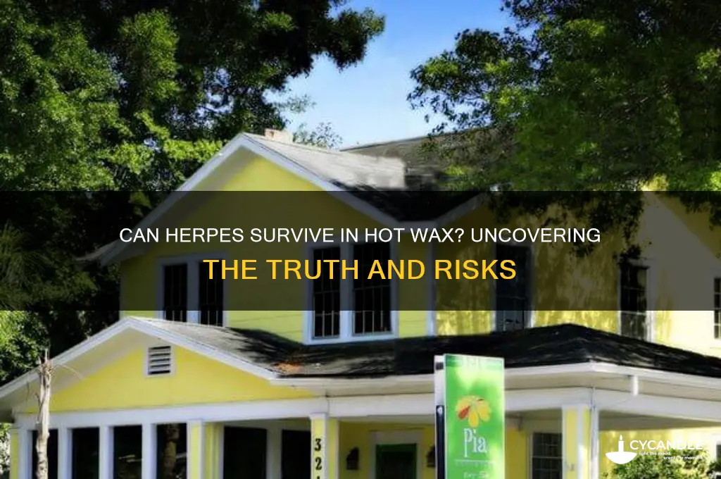 can herpes live in hot wax