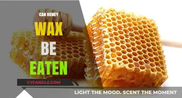 Nature's Sweetness: Exploring the Edibility of Honeycomb Wax