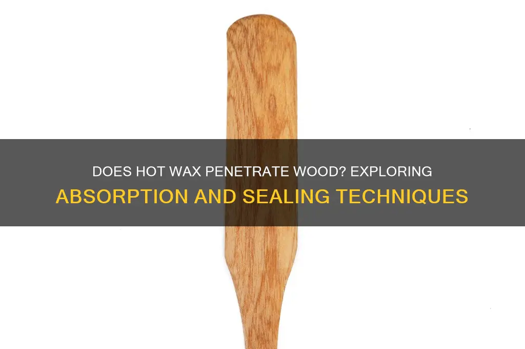 can hot wax soak into wood