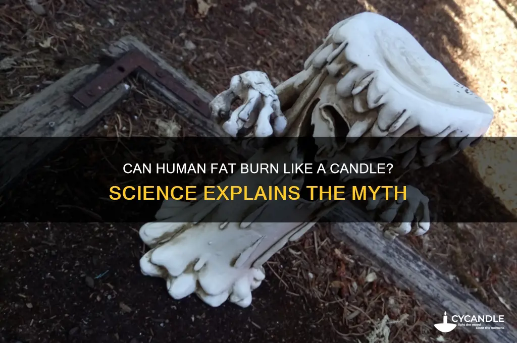 can human fat burn like a candle