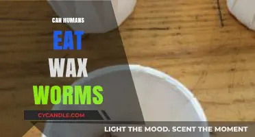 Can Humans Eat Wax Worms? Exploring Edible Insect Potential