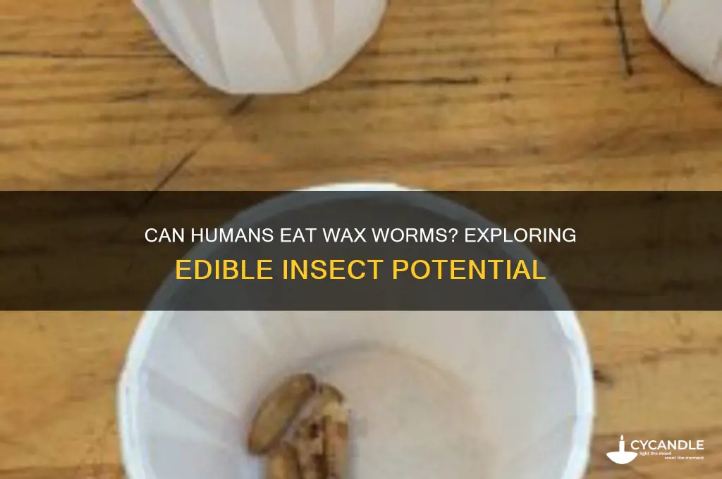 can humans eat wax worms