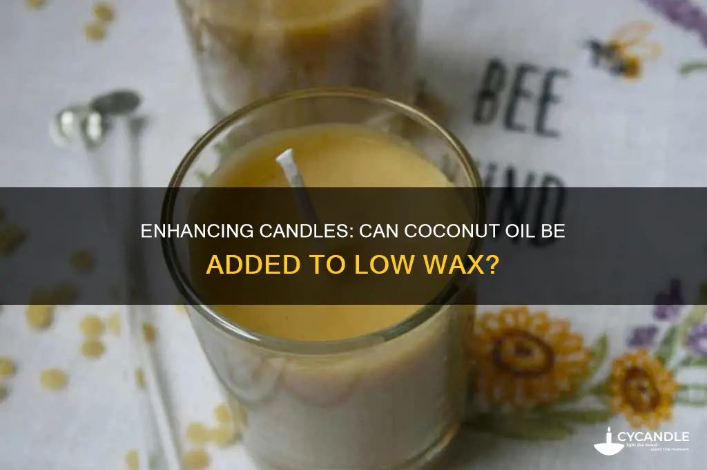 can i add coconut oil to a low candle