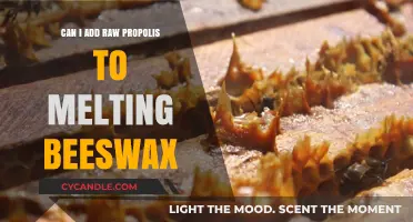 Adding Raw Propolis to Melting Beeswax: Tips and Best Practices
