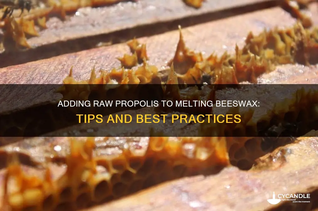 can i add raw propolis to melting beeswax