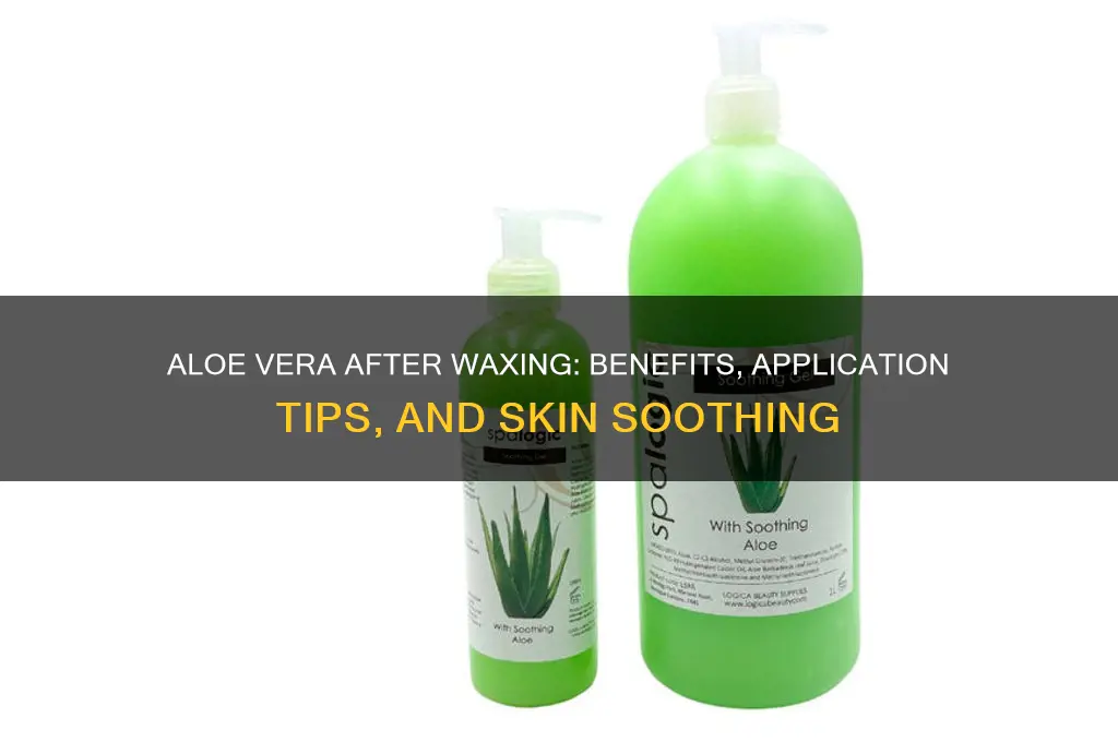 can i apply aloe vera after waxing