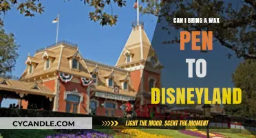 Can You Bring a Wax Pen to Disneyland? Rules Explained