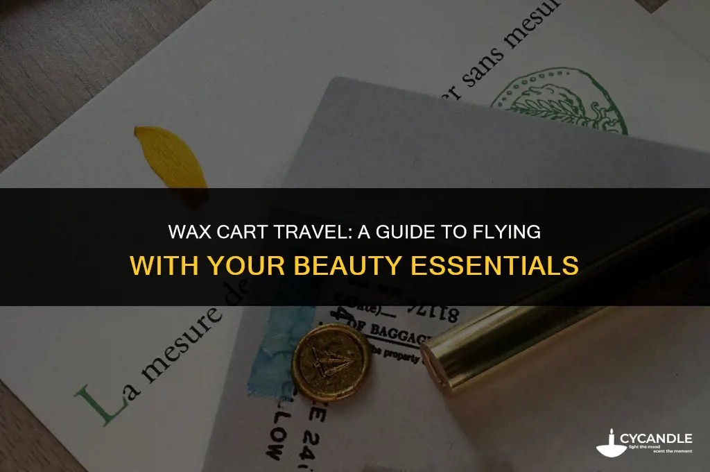 can i bring my wax cart on a plane