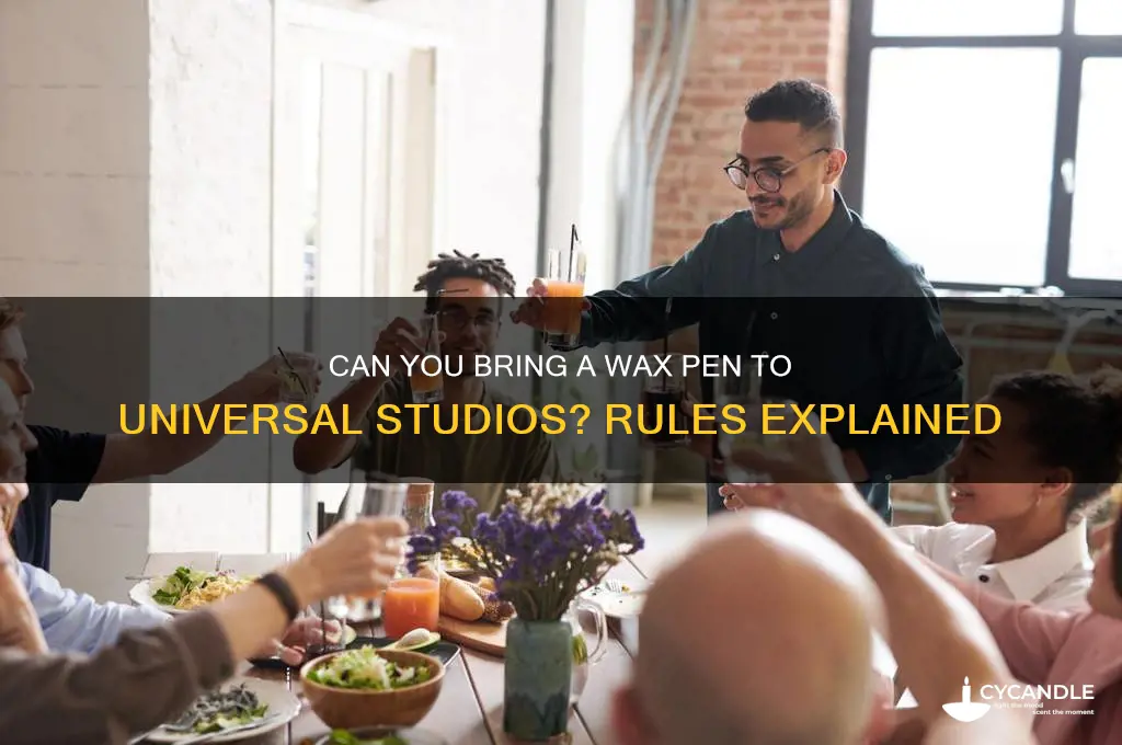 can i bring my wax pen to universal studios