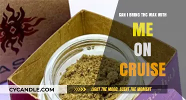 Can You Bring THC Wax on a Cruise? Legal Insights