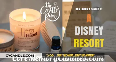 Candle Use at Disney Resorts: Policies and Safe Alternatives for Guests