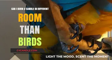 Candle Safety: Burning Candles in a Room with Birds