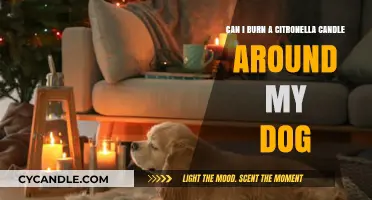 Is Citronella Candle Safe for Dogs? Pet-Friendly Pest Control Tips