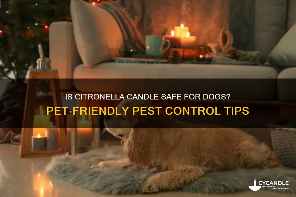 can i burn a citronella candle around my dog