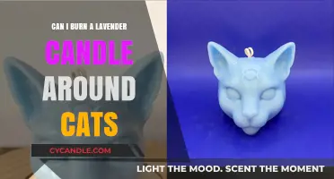 Lavender Candles and Cats: Safe or Harmful? What You Need to Know