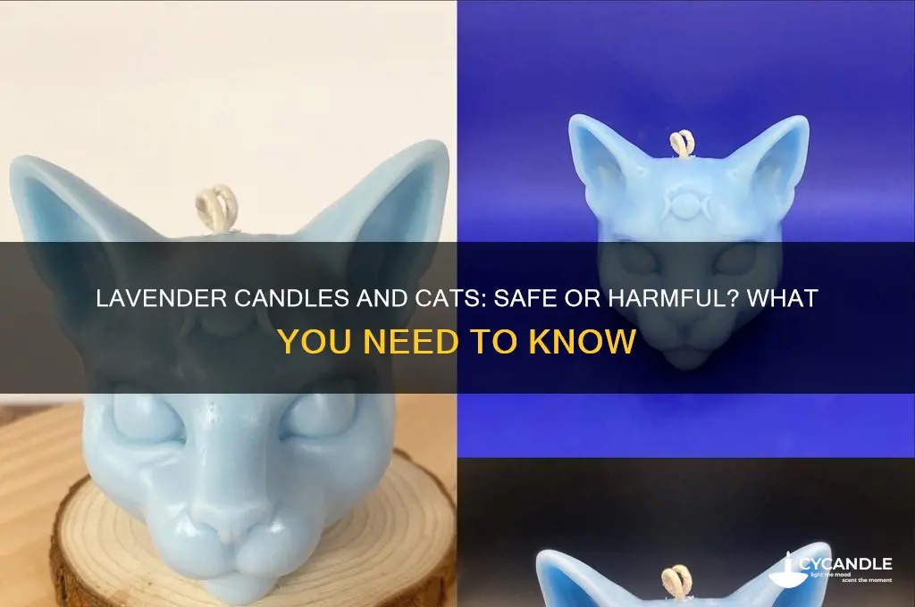 can i burn a lavender candle around cats