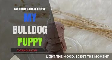 Candle Safety Tips: Protecting Your Bulldog Puppy from Open Flames